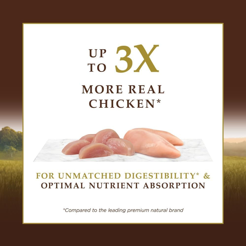 Grain-Free Cat Food – Cage-Free Chicken (10 lb)