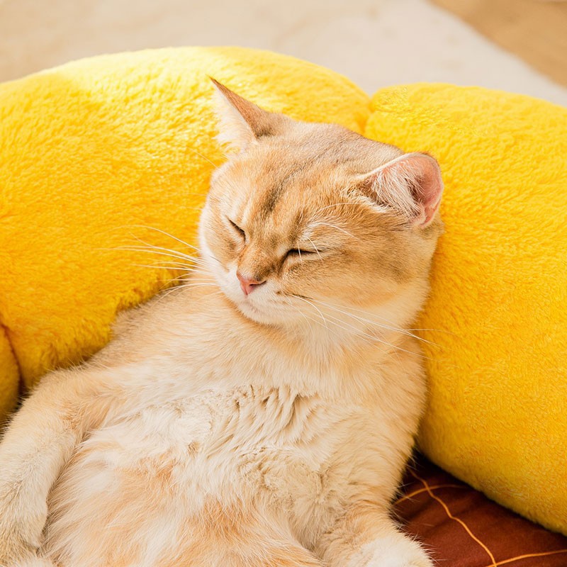 Flower Cat Bed – Soft & Cuddly Nest