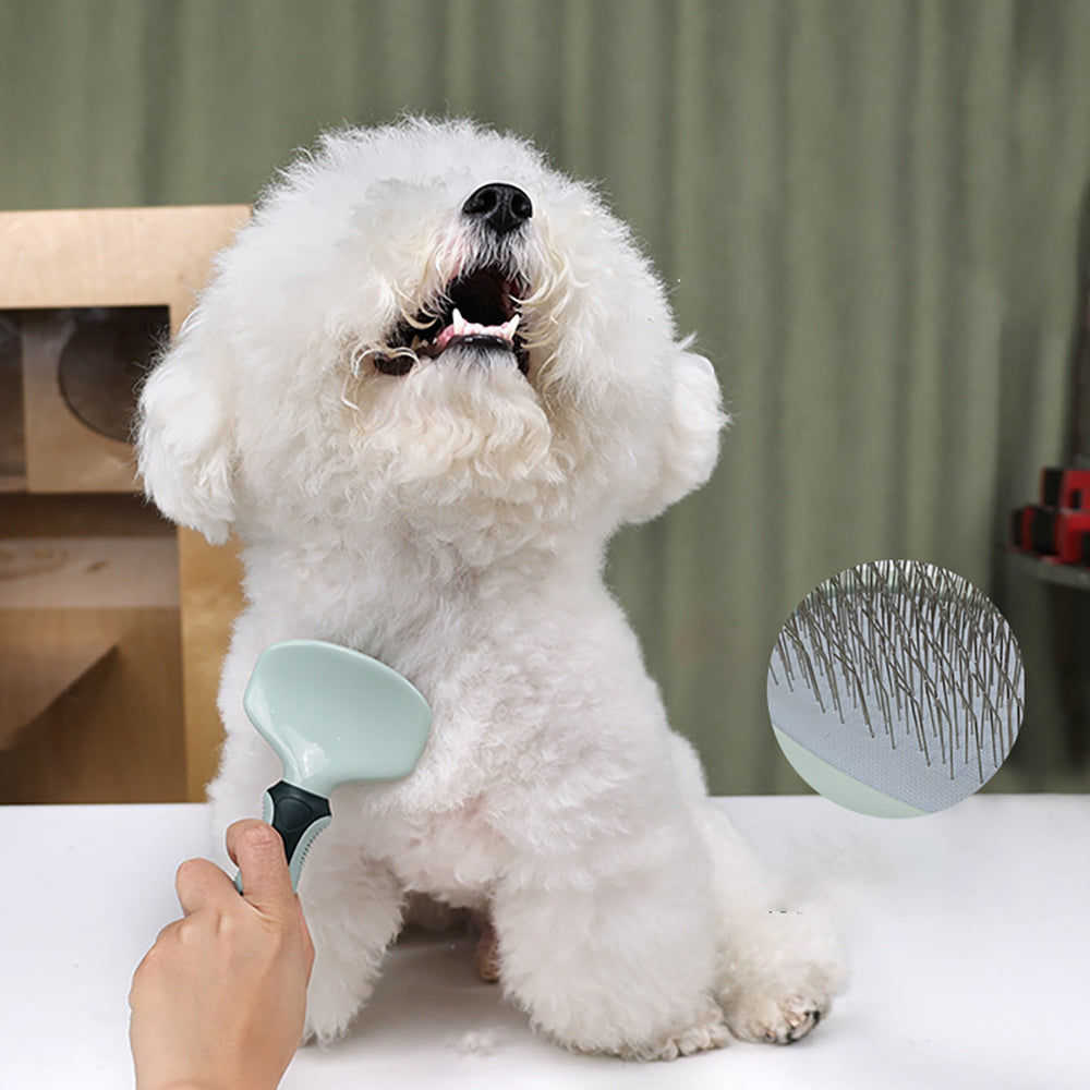 Pro Pet Grooming Kit – Quiet Clippers & Full Grooming Care