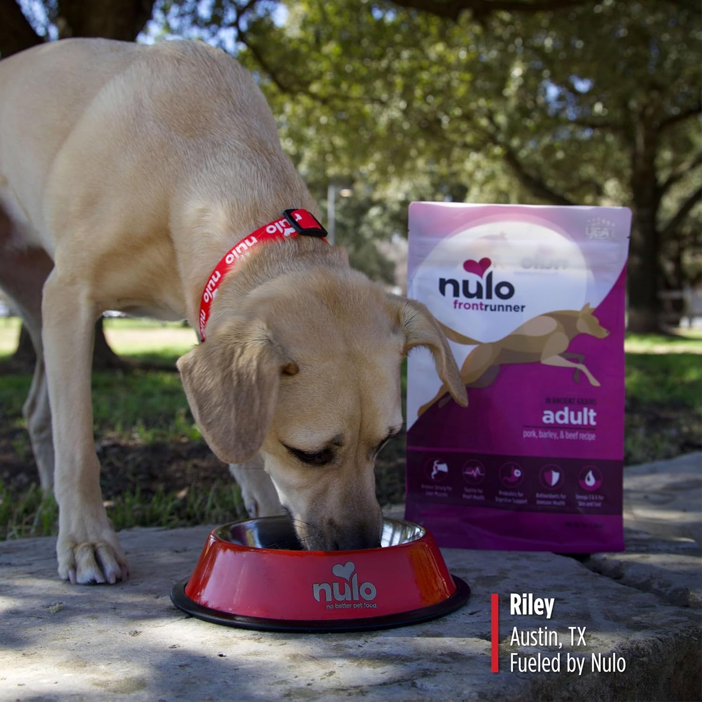 Frontrunner Pork, Barley & Beef Dog Food – 25 lb