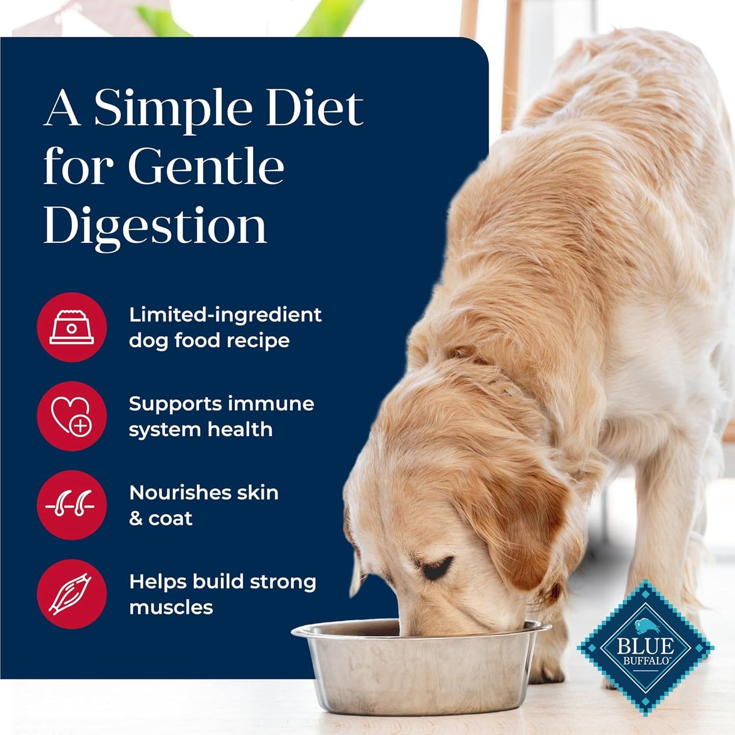 Basics Grain-Free Salmon Recipe Dry Dog Food – 22 lb