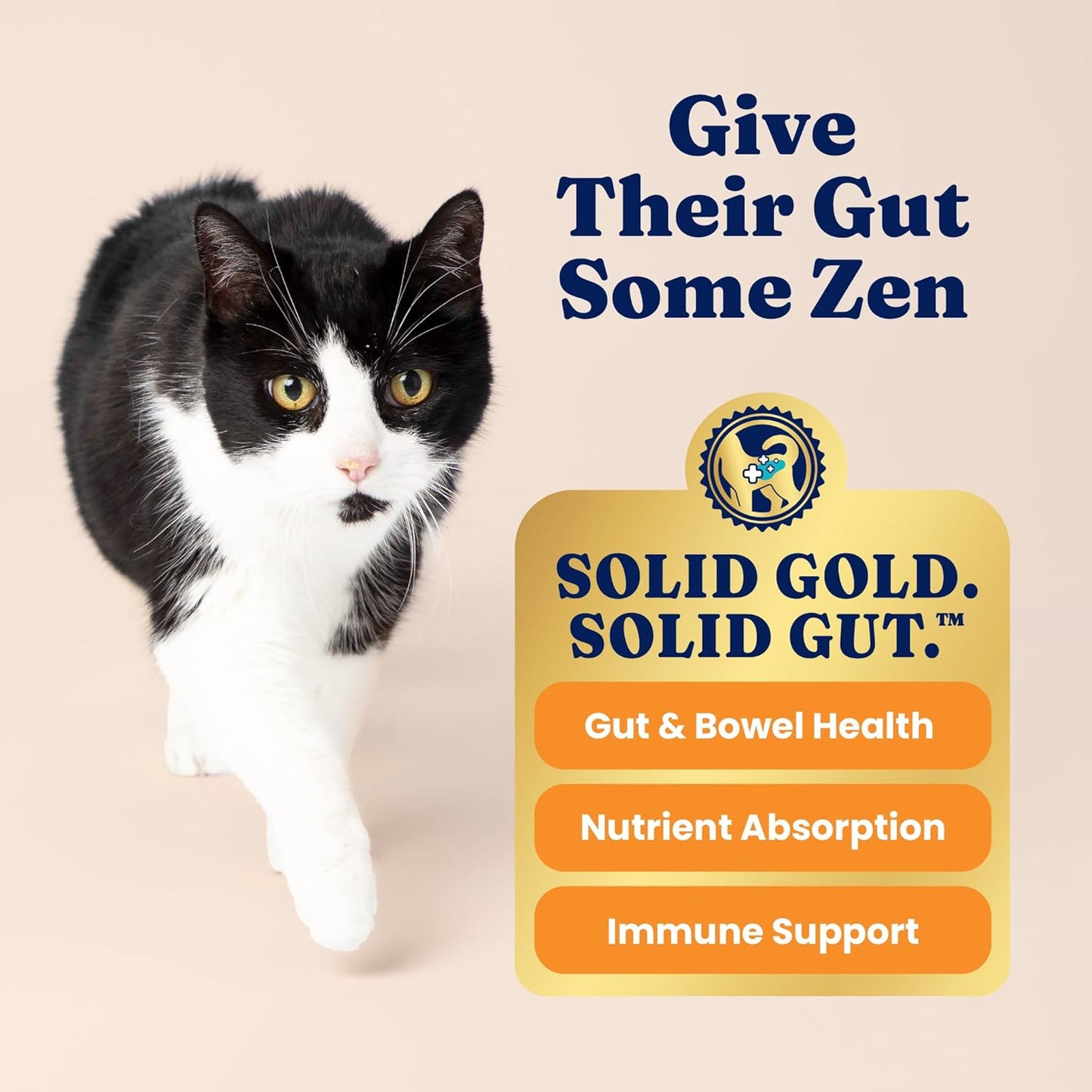 Indoor Chicken Cat Food – Grain-Free – 12 lb