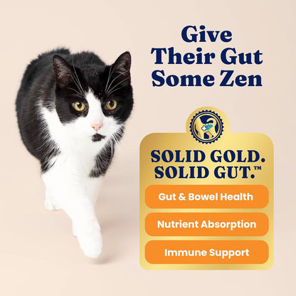 Indoor Chicken Cat Food – Grain-Free – 12 lb