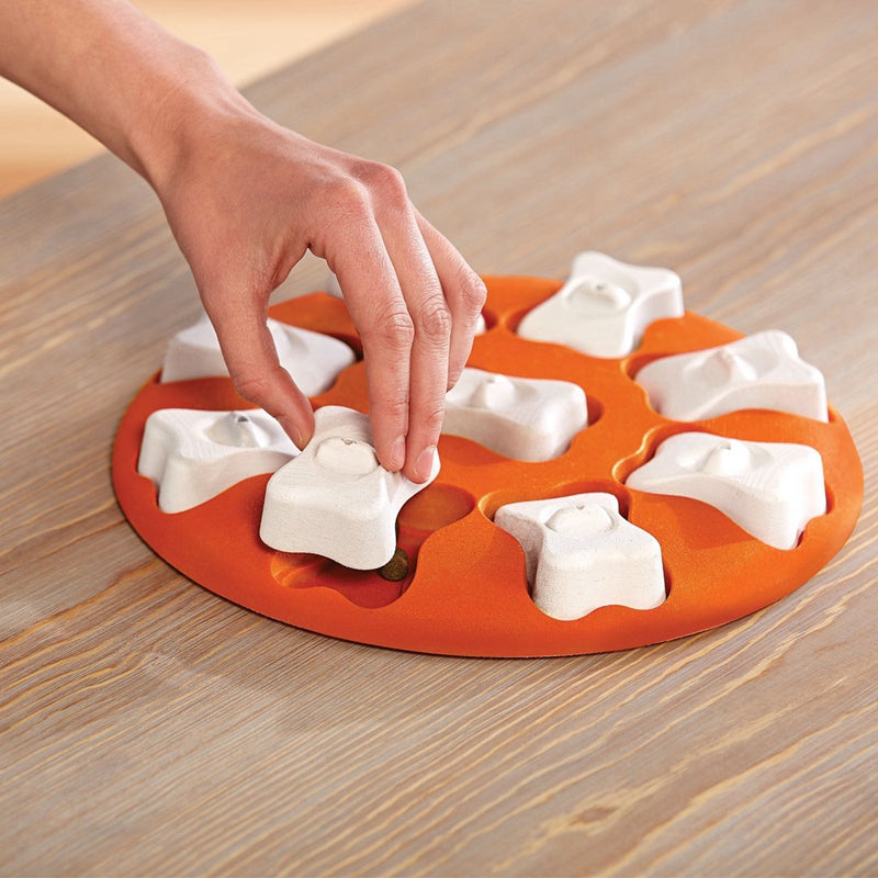  Bone Maze Puzzle – Smart Feeder Toy