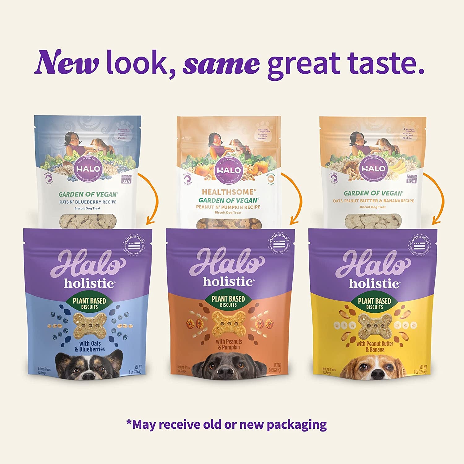 Halo Plant Based Oats & Blueberries, Peanut Butter & Banana, Peanuts & Pumpkin Crunchy Dog Treats – 8 oz (3 Pack)