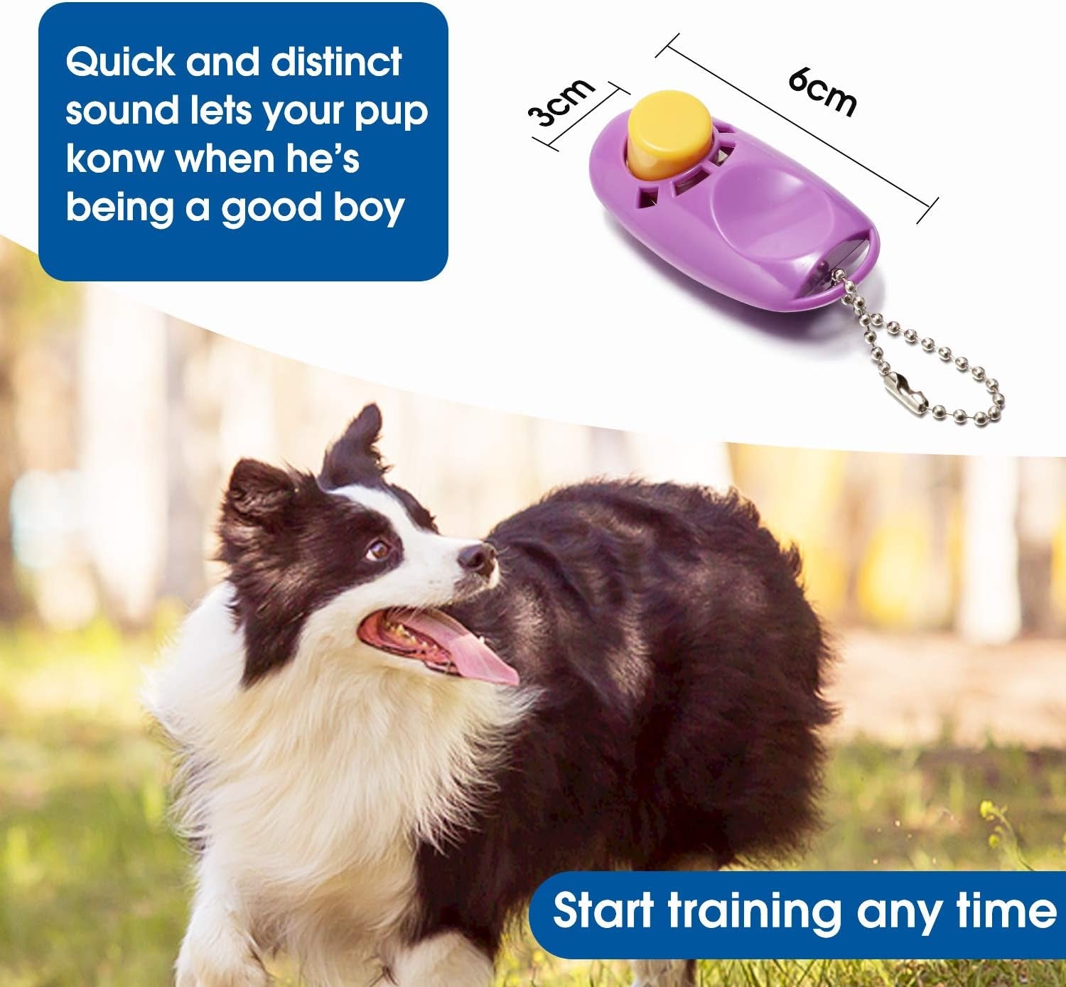 Long Training Leash with Clicker – 30 ft, Purple