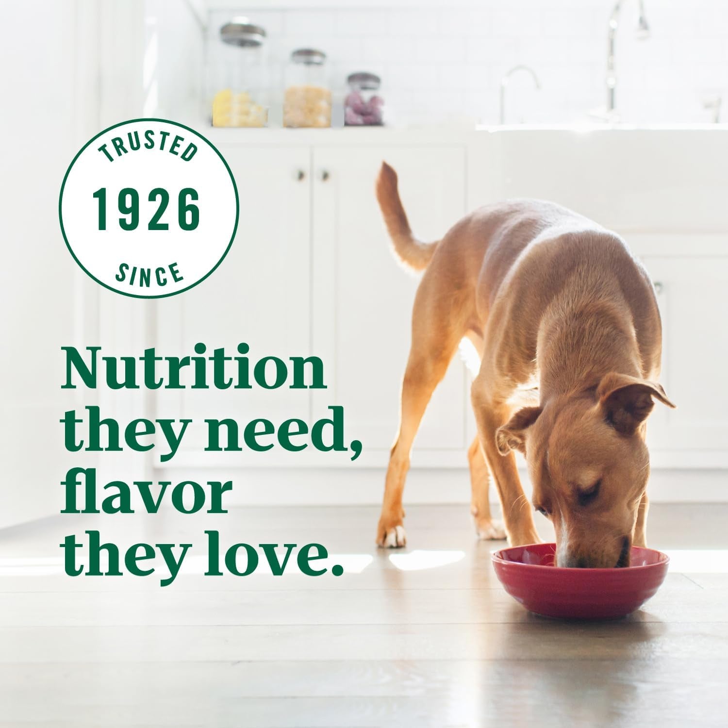Nutro Ultra Natural Chicken, Lamb & Salmon Dry Dog Food – 30 lb