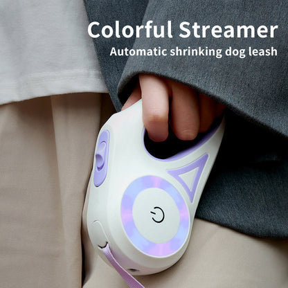 Auto-Retractable Leash + Collar – With Spotlight 