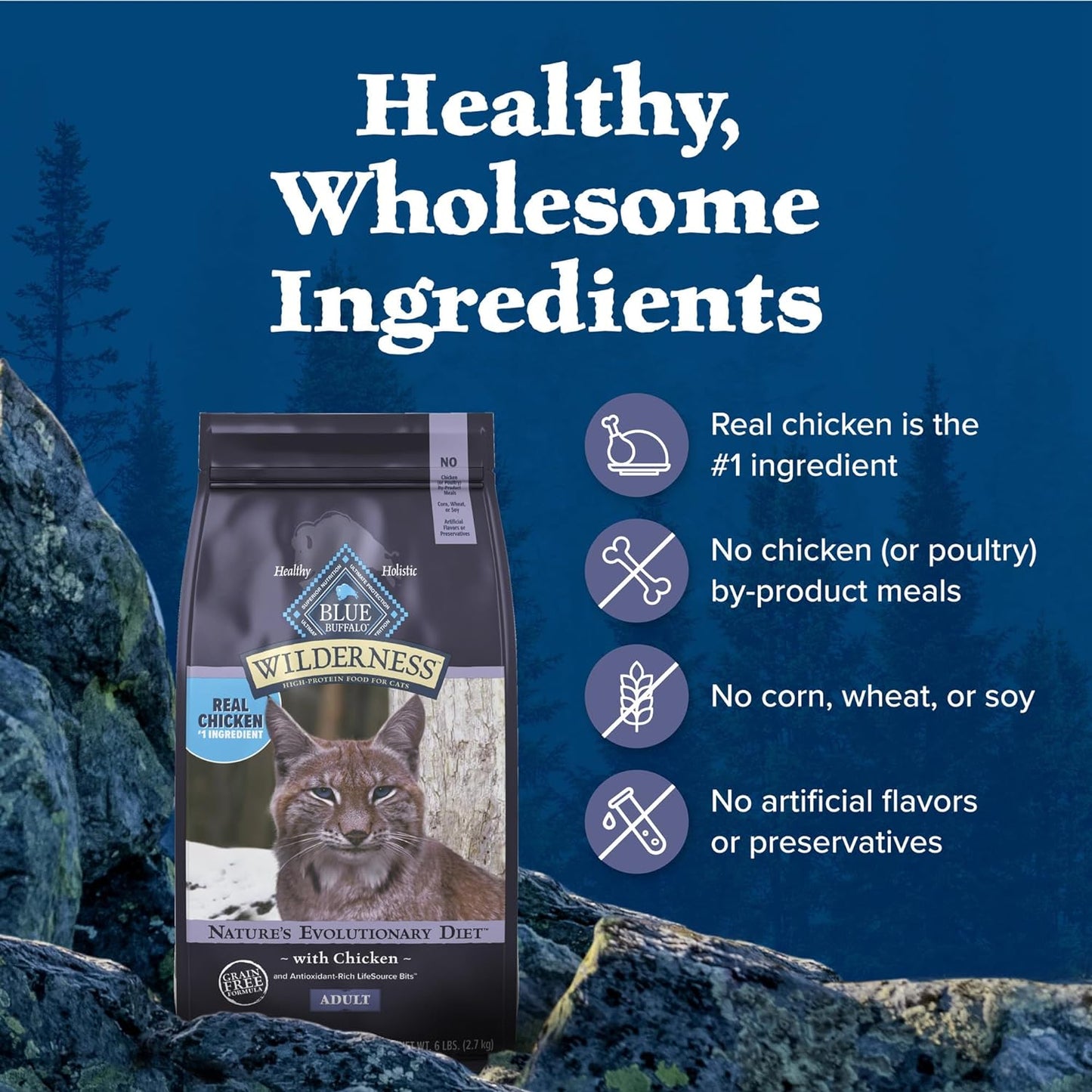 Wilderness Chicken Dry Food for Cats – 6lb