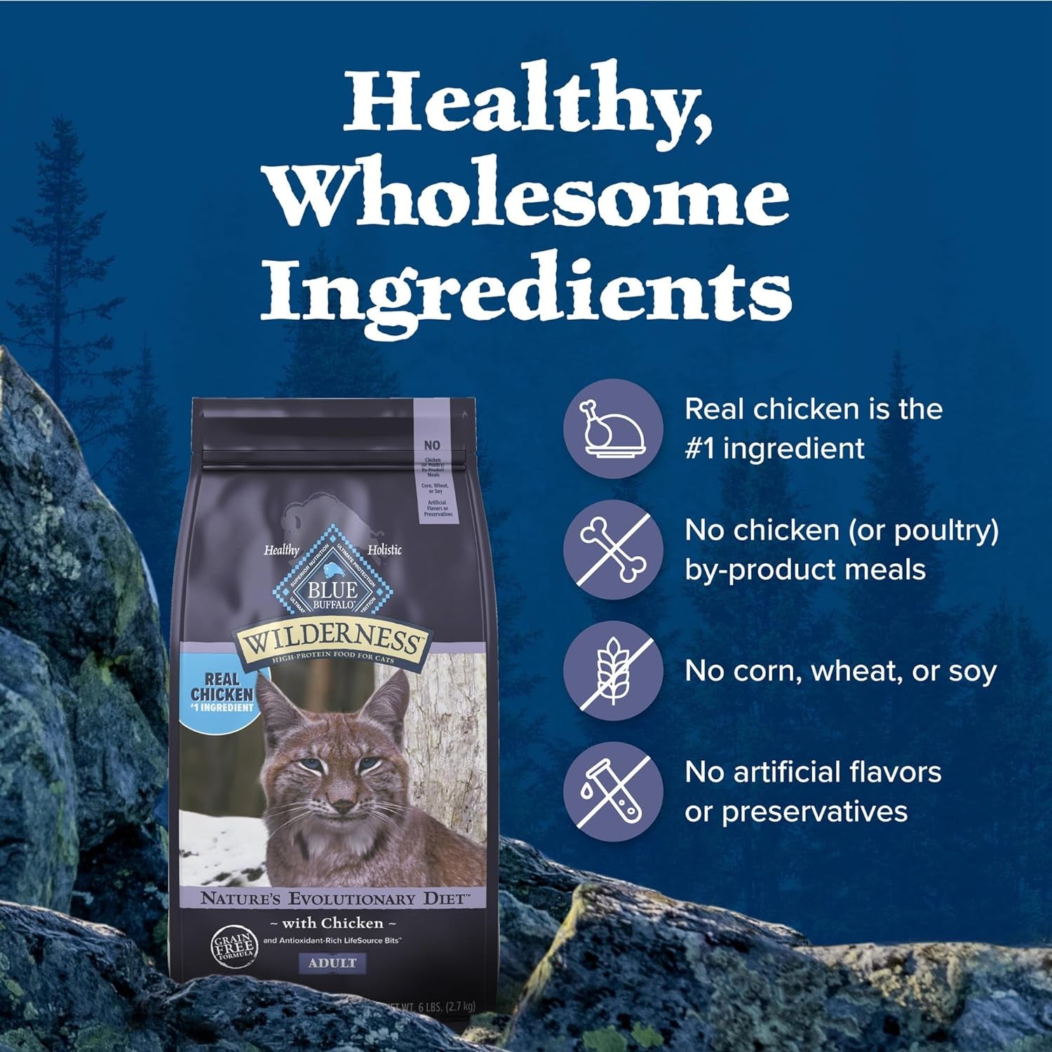 Wilderness Chicken Dry Food for Cats – 6lb