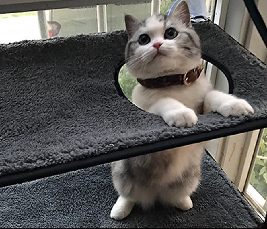 Window Hammock for Cats