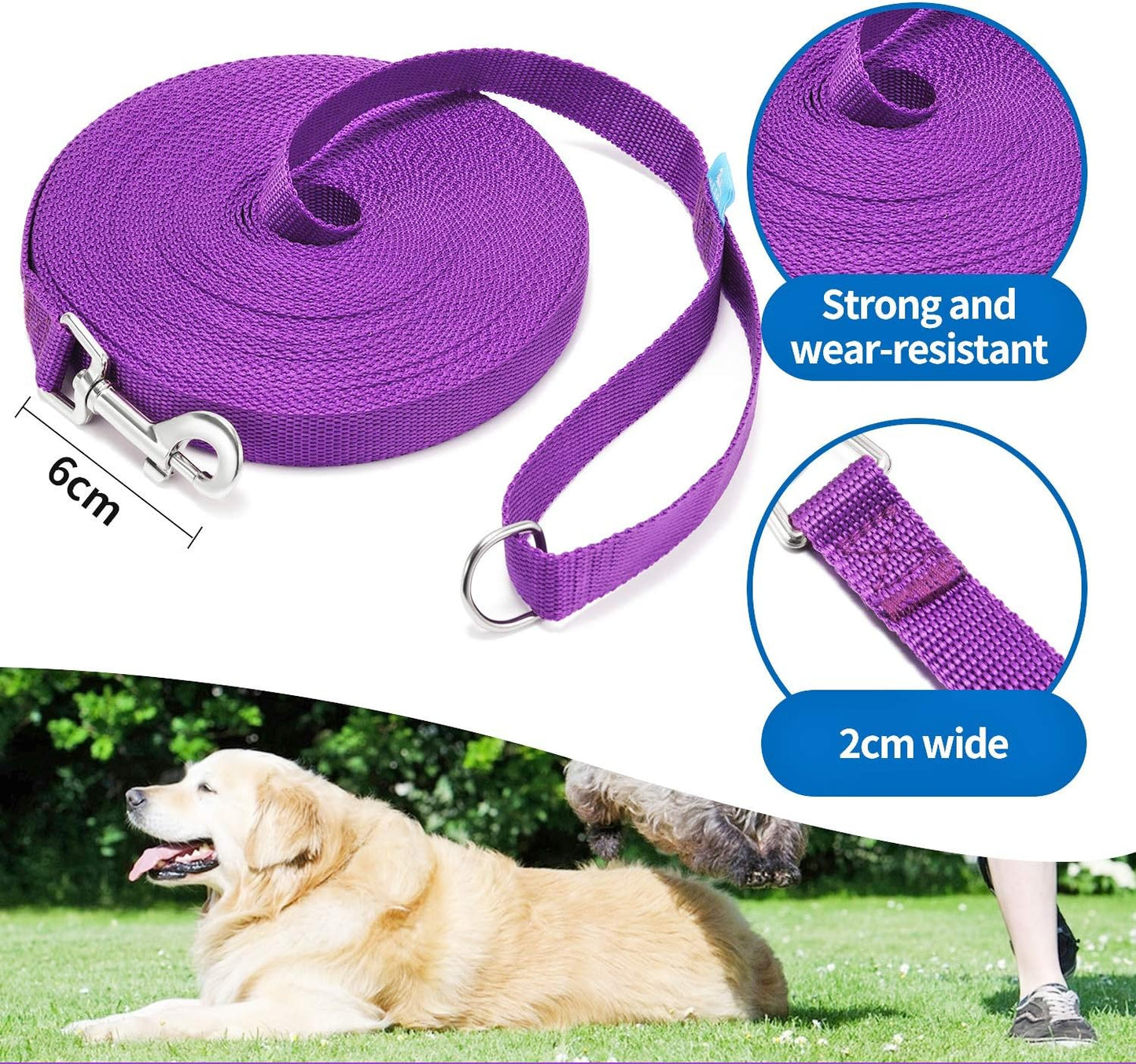 Long Training Leash with Clicker – 30 ft, Purple