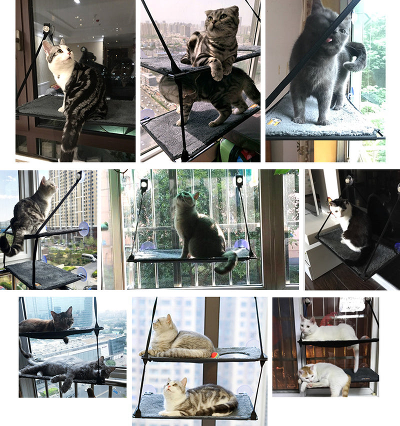 Window Hammock for Cats