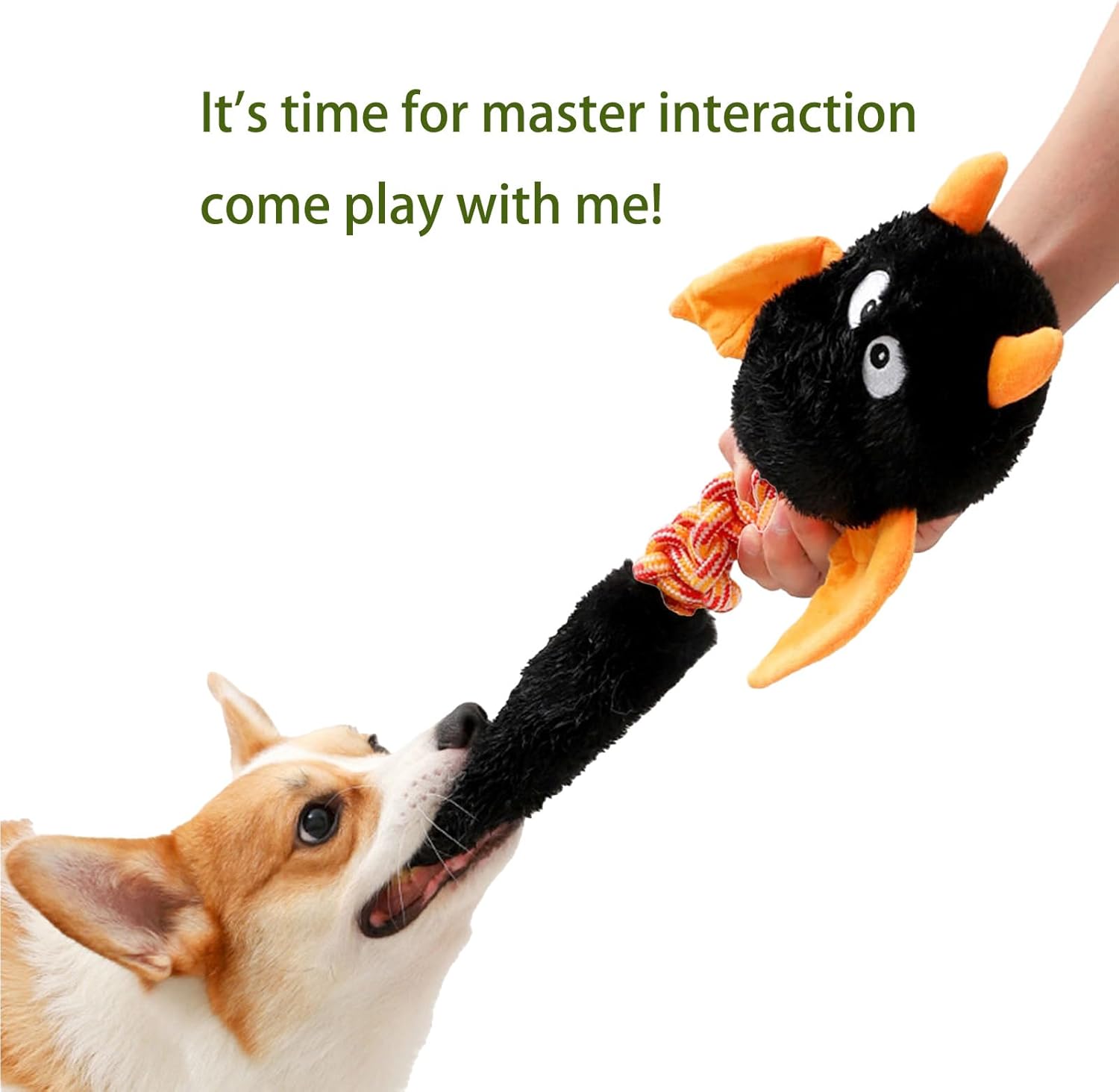 Plush Squeaky Toy – Soft Fun