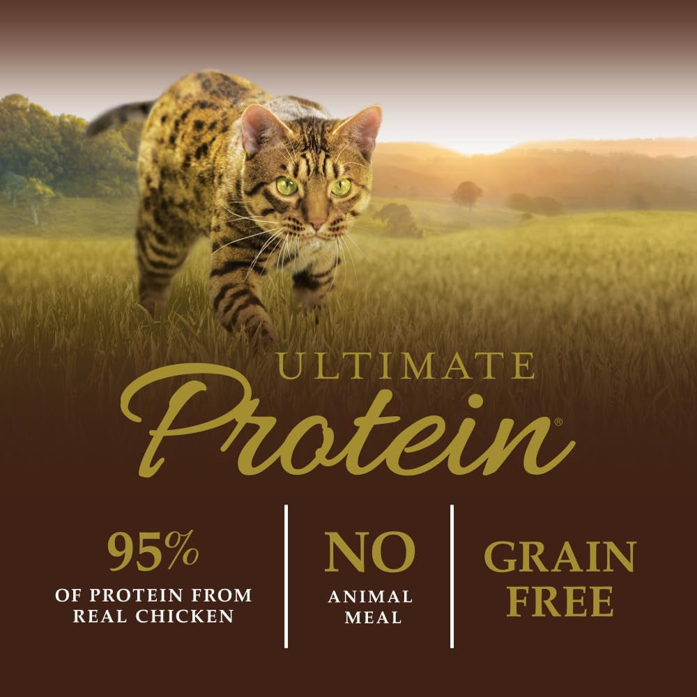 Grain-Free Cat Food – Cage-Free Chicken (10 lb)
