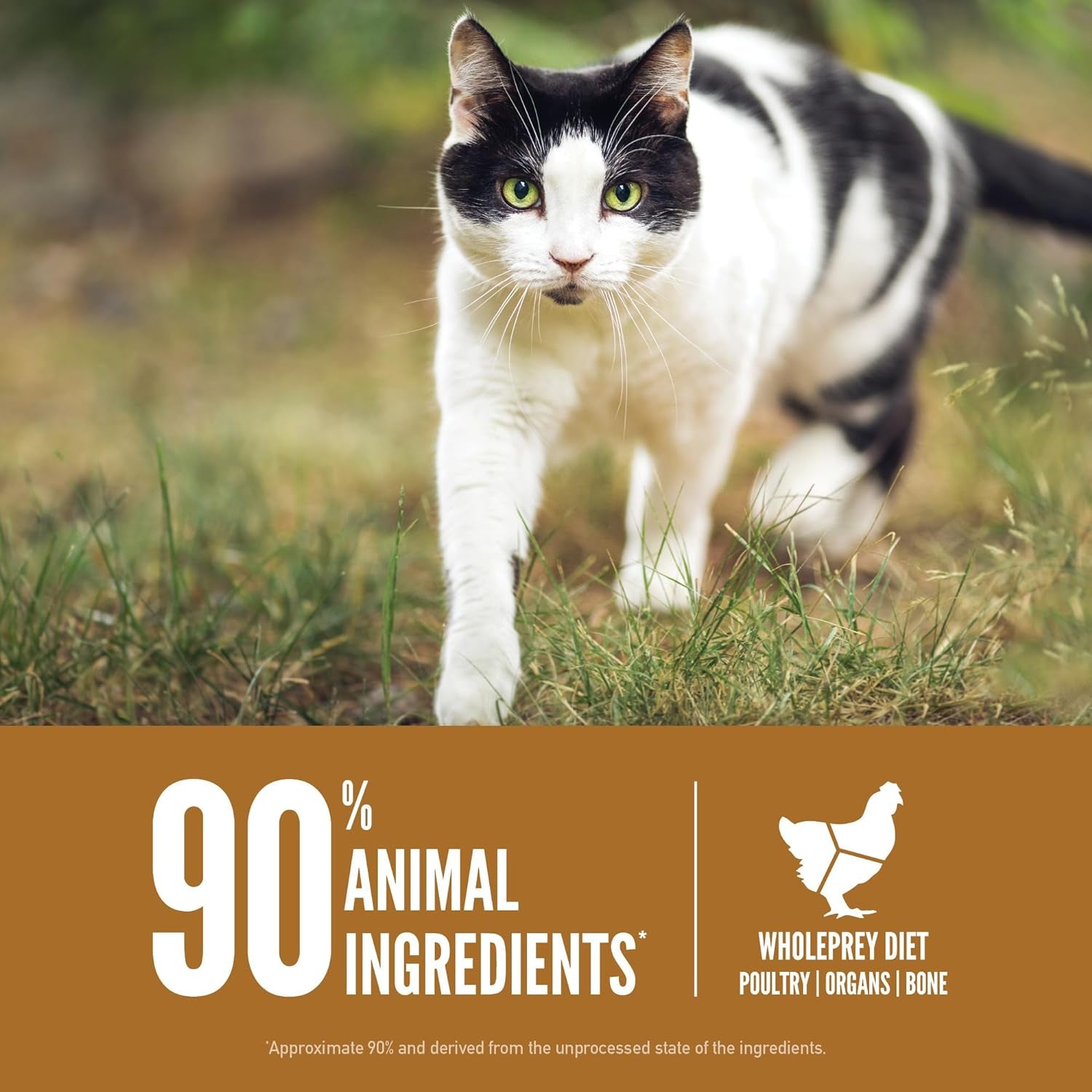 Orijen Original Grain Free High Protein Dry Cat Food – 4 lb