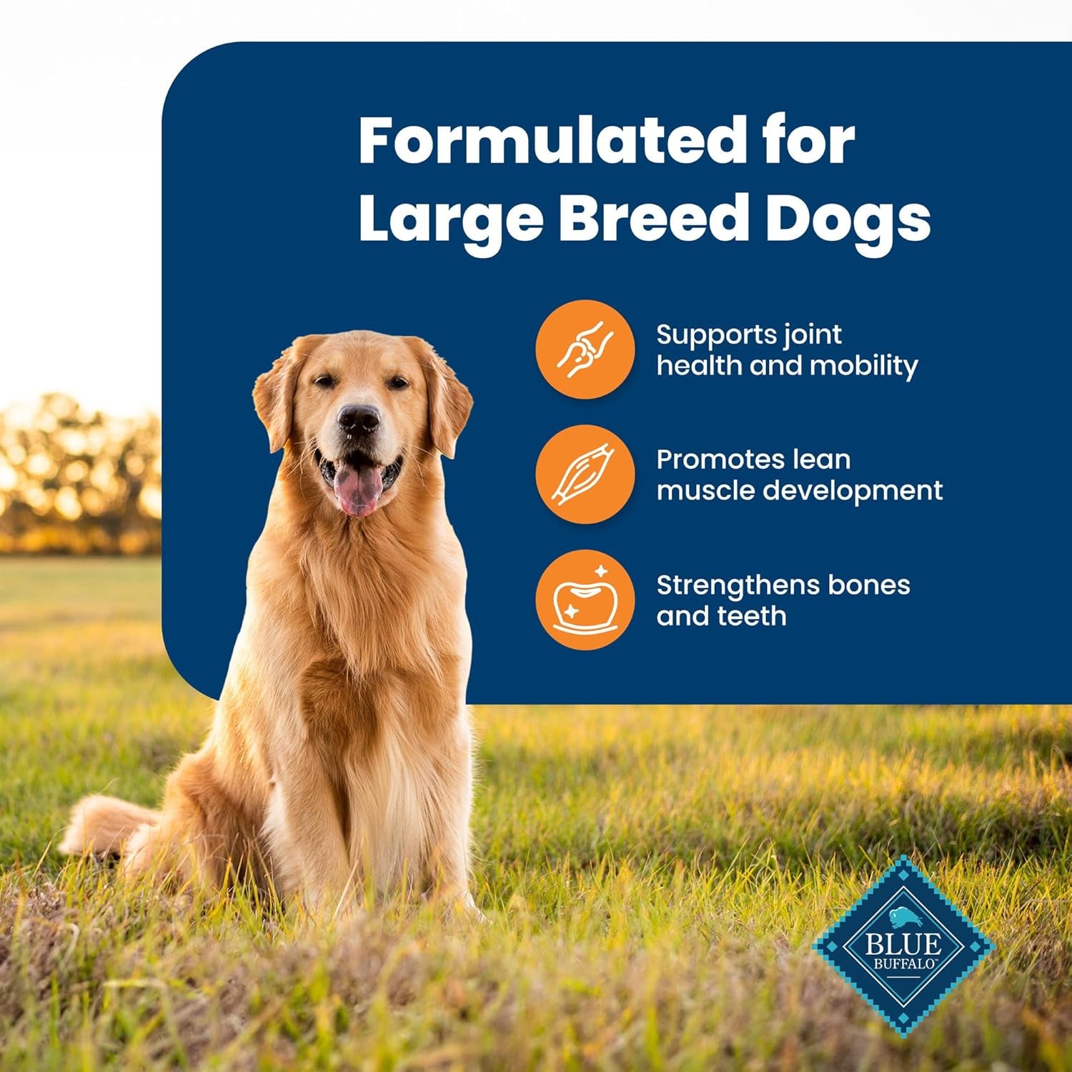 BLUE Life Protection Formula Large Breed Chicken & Brown Rice Dry Dog Food - 30 lb