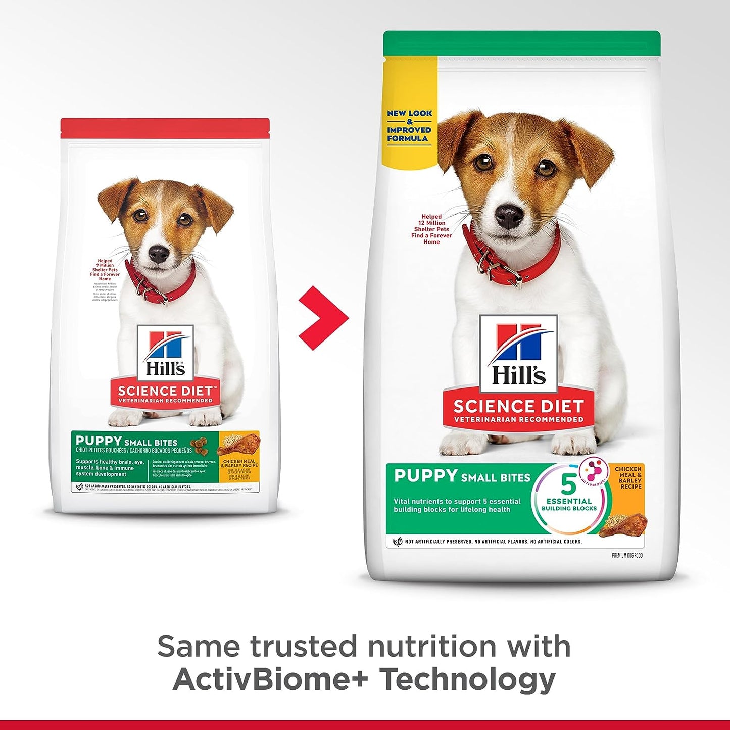 Hill’s Puppy Small Bites Chicken & Barley Dry Dog Food – 15.5 lb