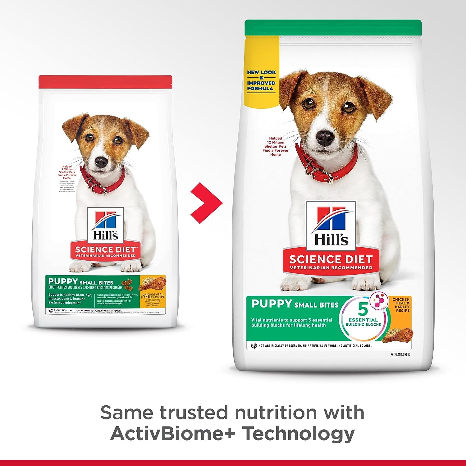 Hill’s Puppy Small Bites Chicken & Barley Dry Dog Food – 15.5 lb