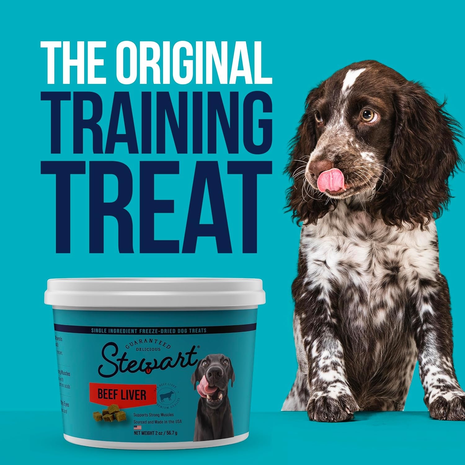 Freeze-Dried Beef Liver Treats – 14 oz