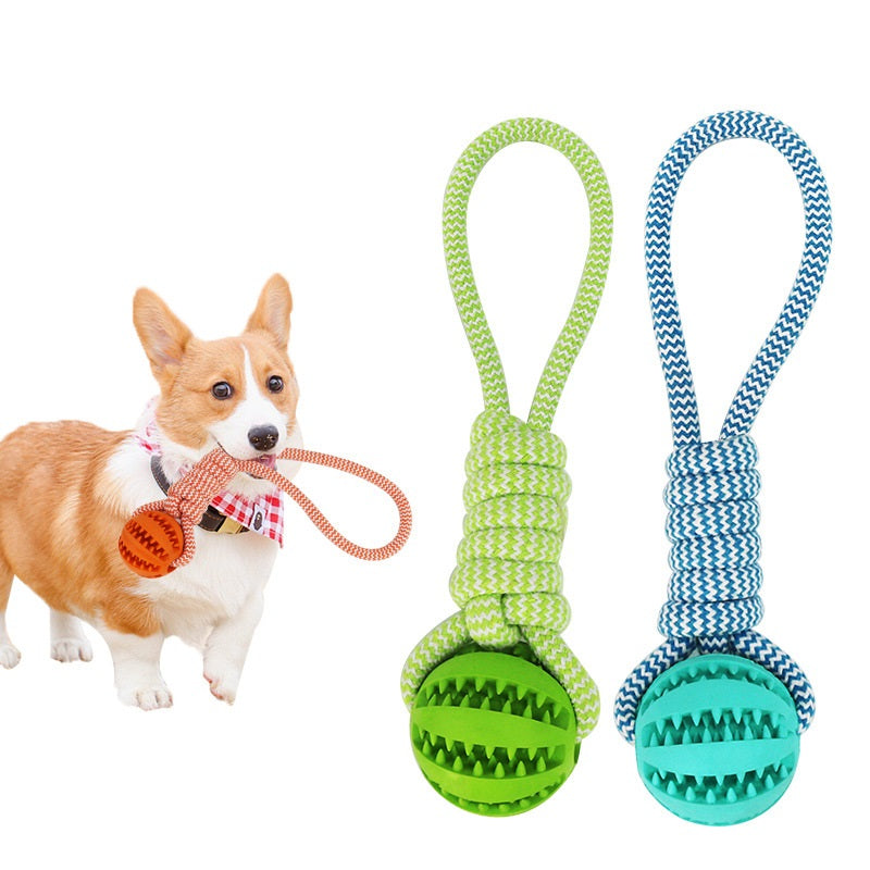 Treat Ball & Chew Rope