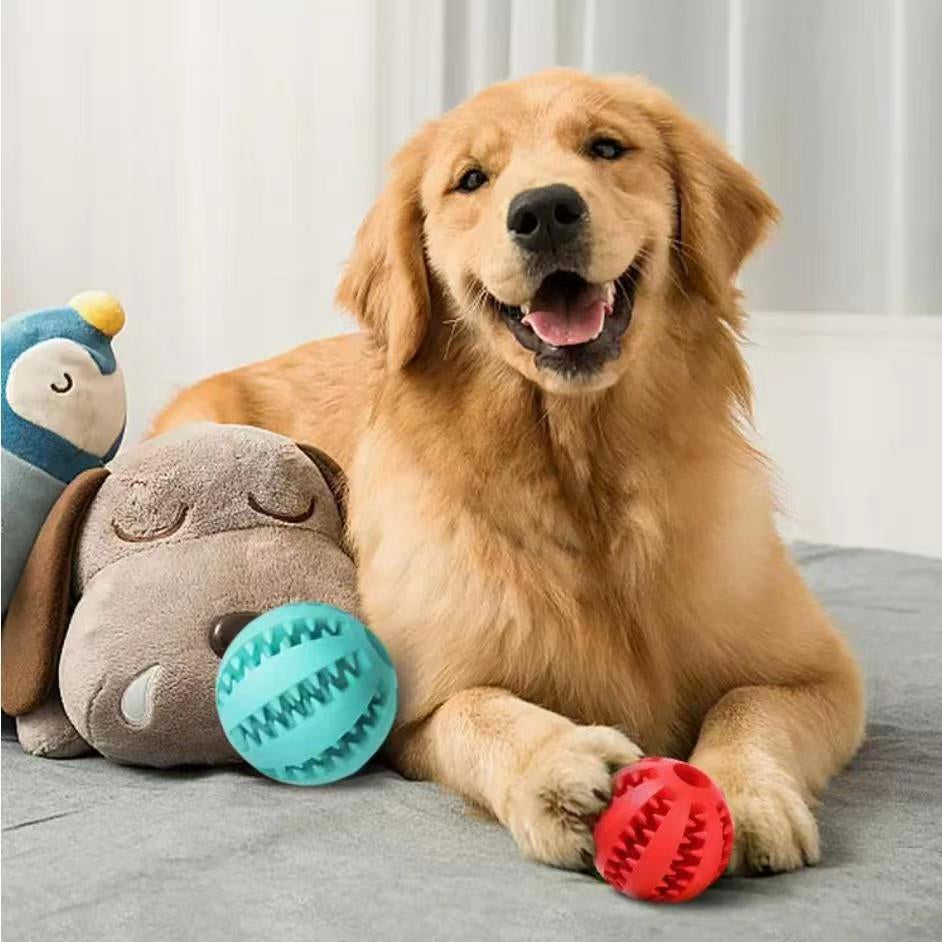 Treat Ball & Chew Rope