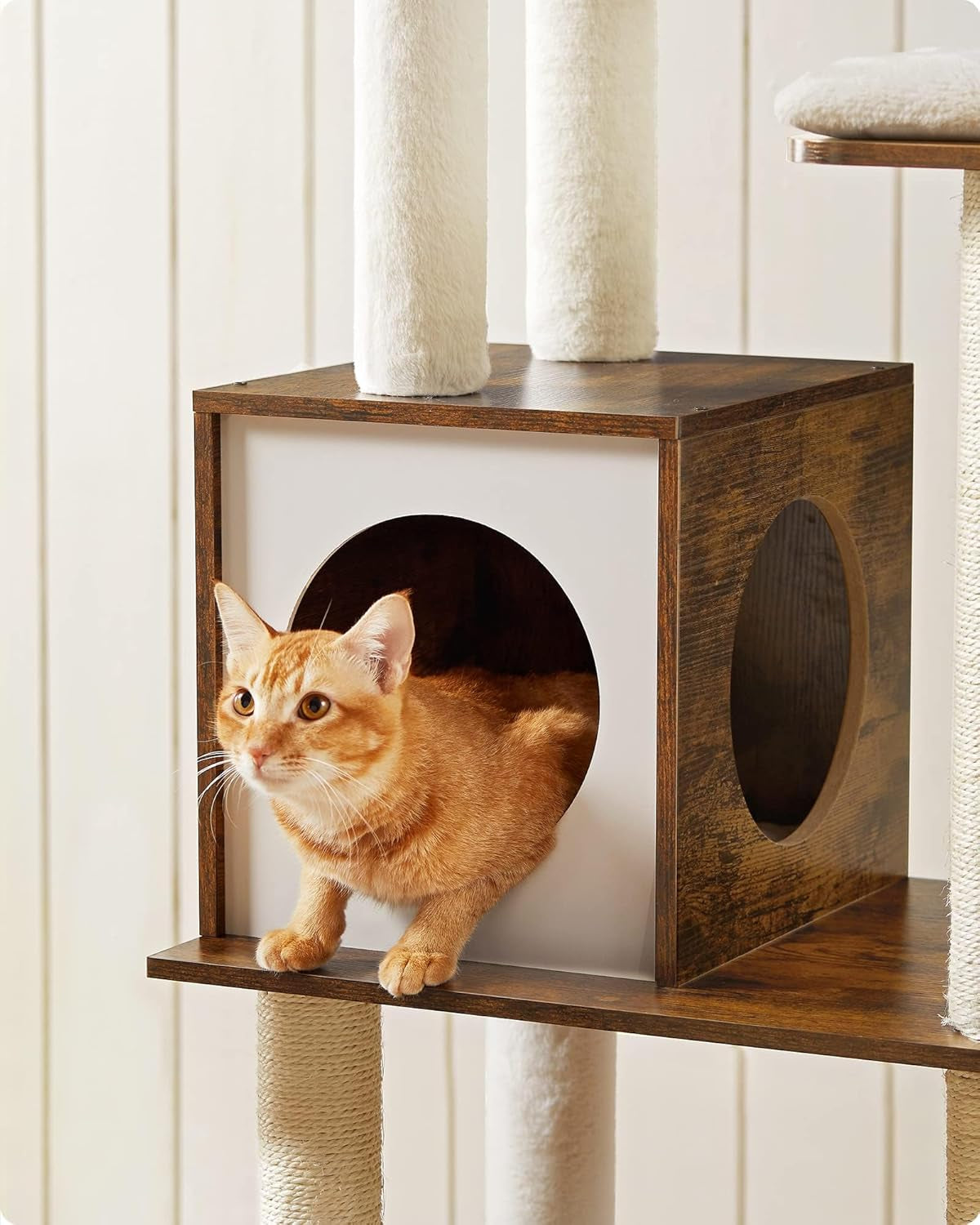 Woodywonders Cat Tower – 65" Multi-Level Indoor Climber