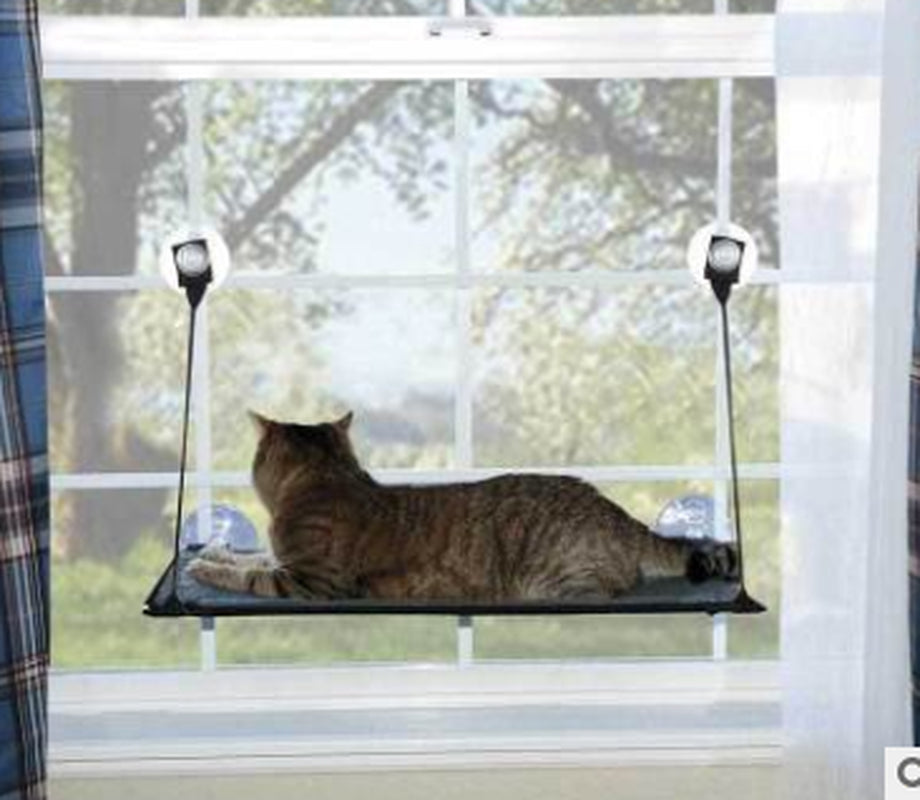 Window Hammock for Cats