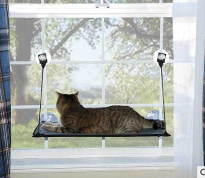 Window Hammock for Cats