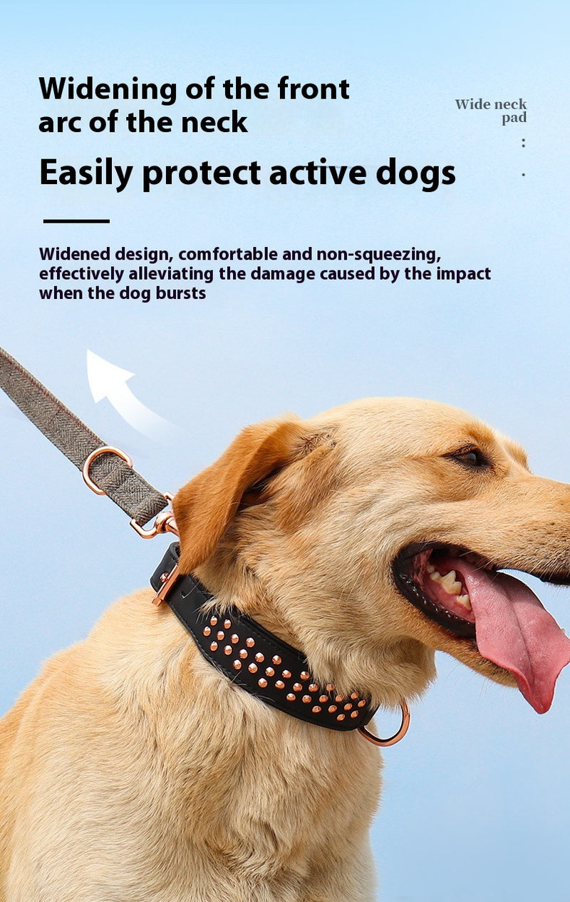 Anti-Bite Rivet Dog Collar