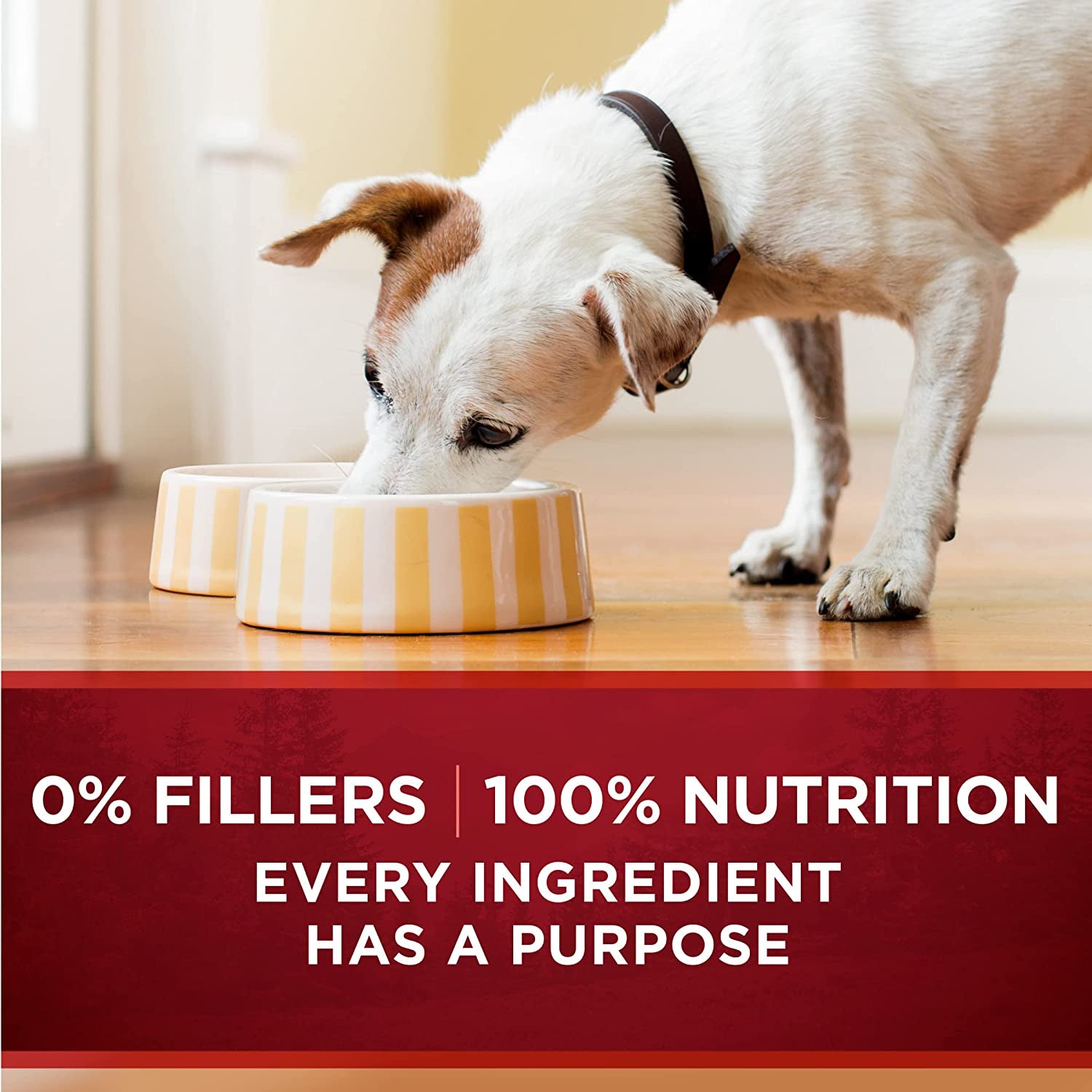 True Instinct Chicken & Duck Cuts in Gravy Wet Dog Food – 13 oz x 12 Pack