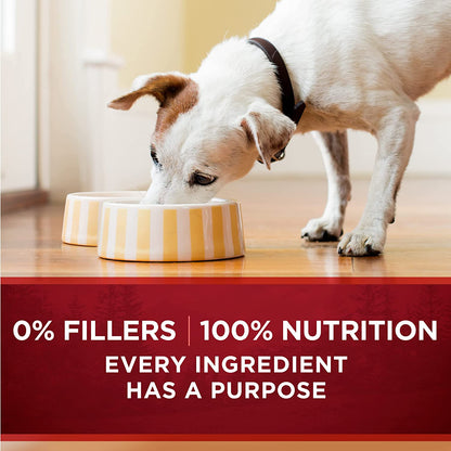 True Instinct Chicken & Duck Cuts in Gravy Wet Dog Food – 13 oz x 12 Pack