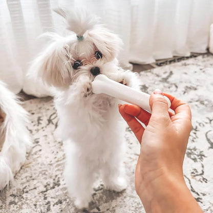 New Puppy Kit – 2 Chew Toys + 1 Treat (3 Pack)