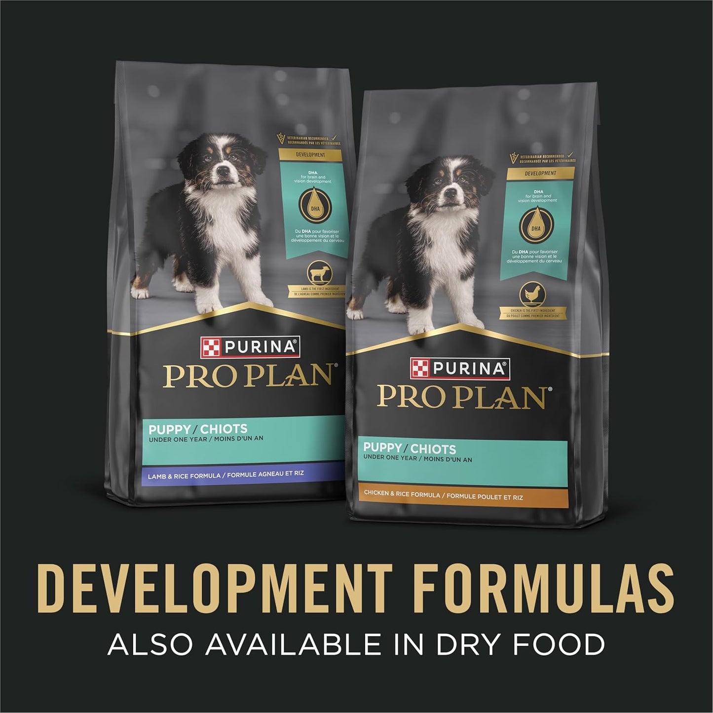 Classic Chicken & Rice Puppy Pâté Wet Dog Food – 13 oz x 12 Pack
