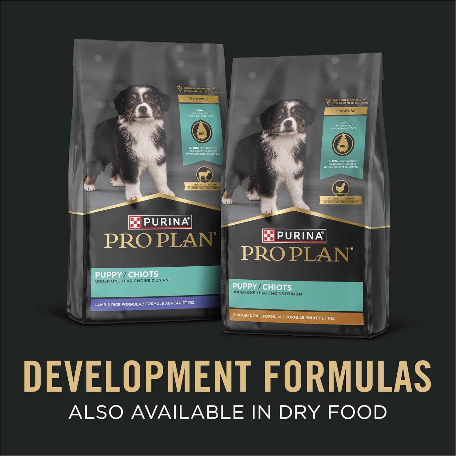 Classic Chicken & Rice Puppy Pâté Wet Dog Food – 13 oz x 12 Pack