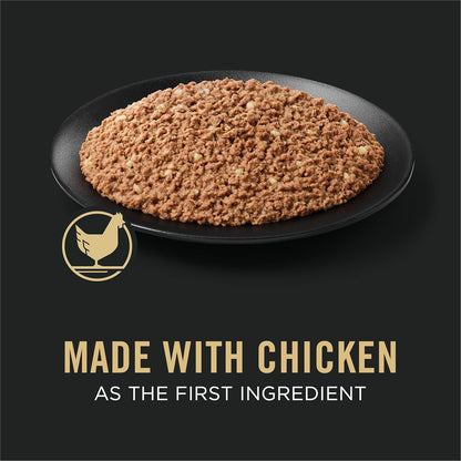 Classic Chicken & Rice Puppy Pâté Wet Dog Food – 13 oz x 12 Pack