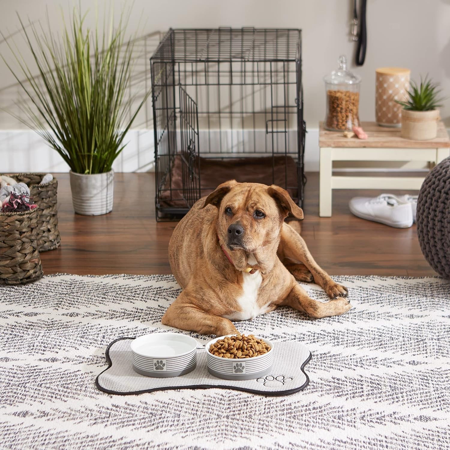 Ceramic Pet Bowls – Medium Duo for Cats & Small Dogs