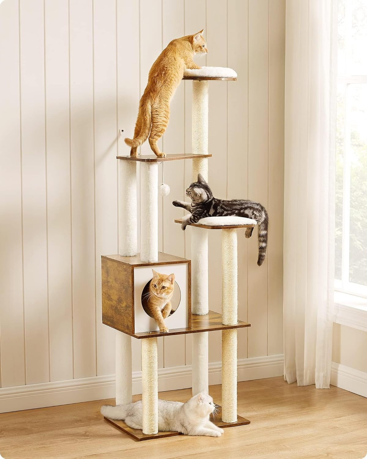 Woodywonders Cat Tower – 65" Multi-Level Indoor Climber
