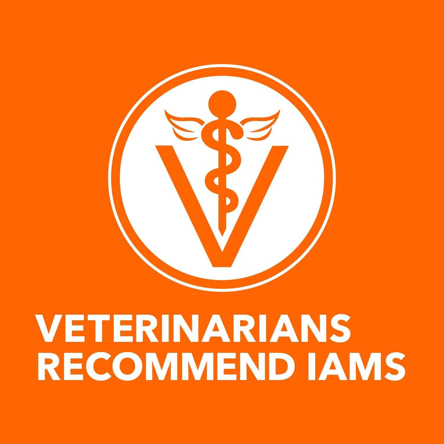 IAMS Proactive Health Chicken Adult Dry Cat Food - 7 lb