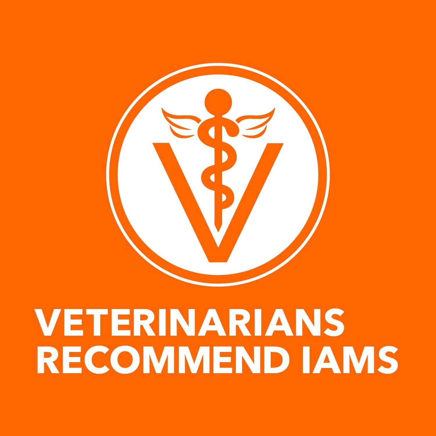 IAMS Proactive Health Chicken Adult Dry Cat Food - 7 lb