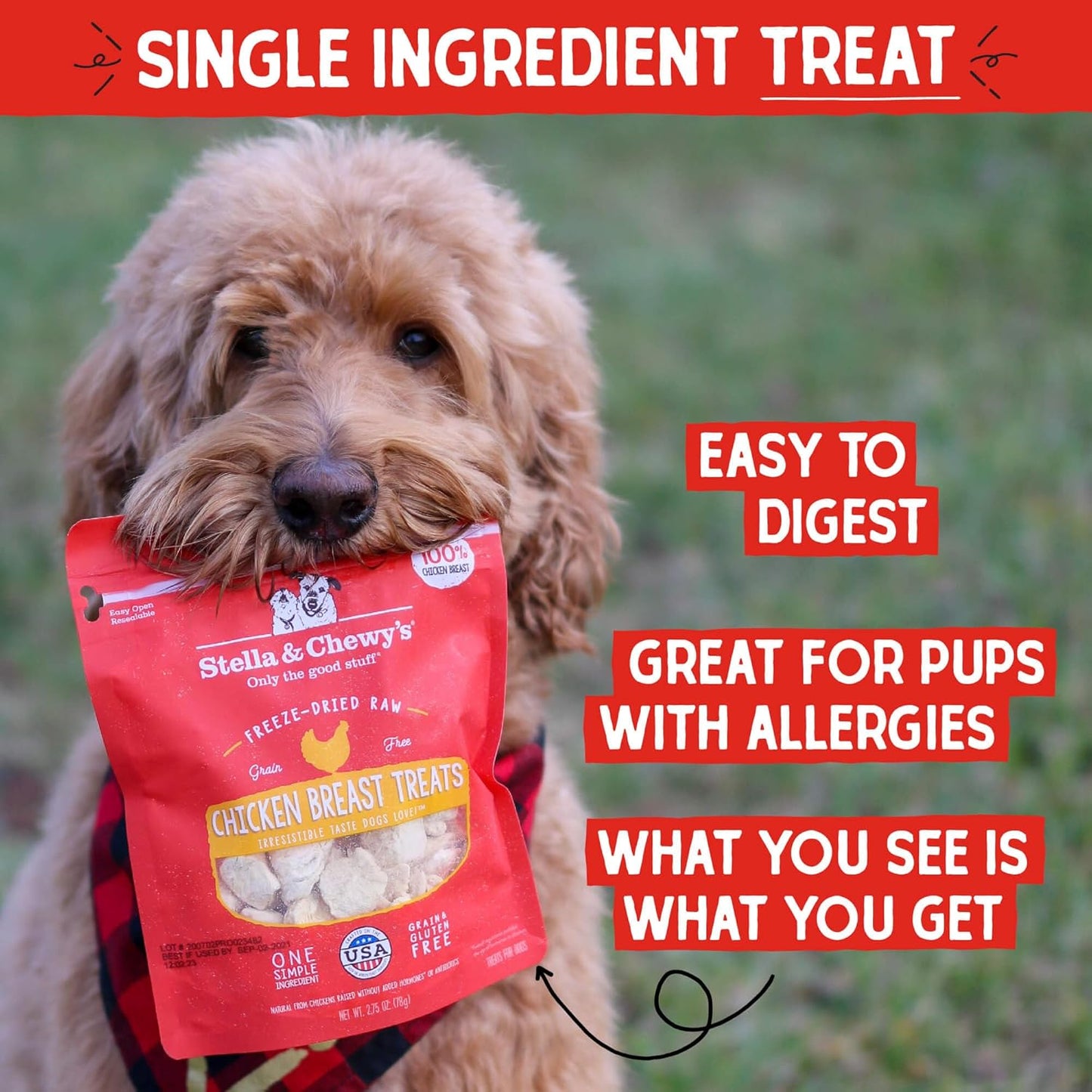 Stella & Chewy’s Freeze-Dried Raw Chicken Breast Dog Treats – 2.75 oz