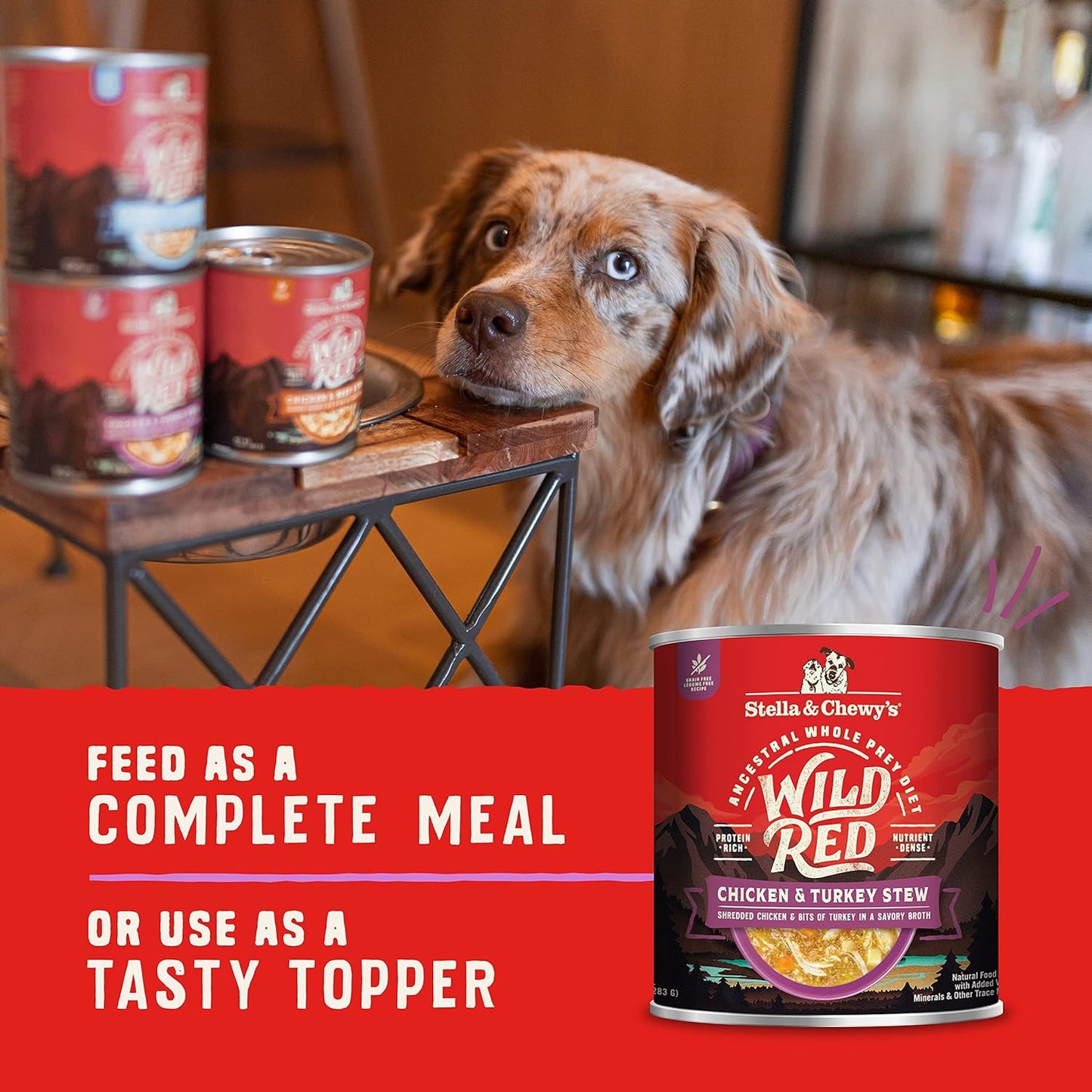 Wild Red Chicken & Turkey Stew Wet Dog Food – 10 oz x 6 Pack