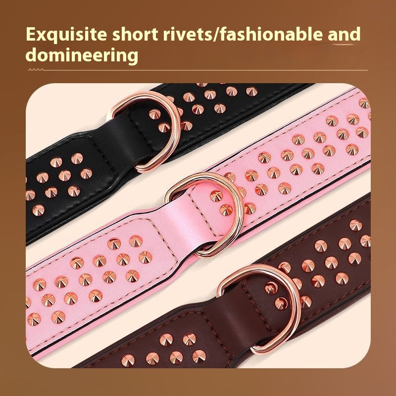 Anti-Bite Rivet Dog Collar