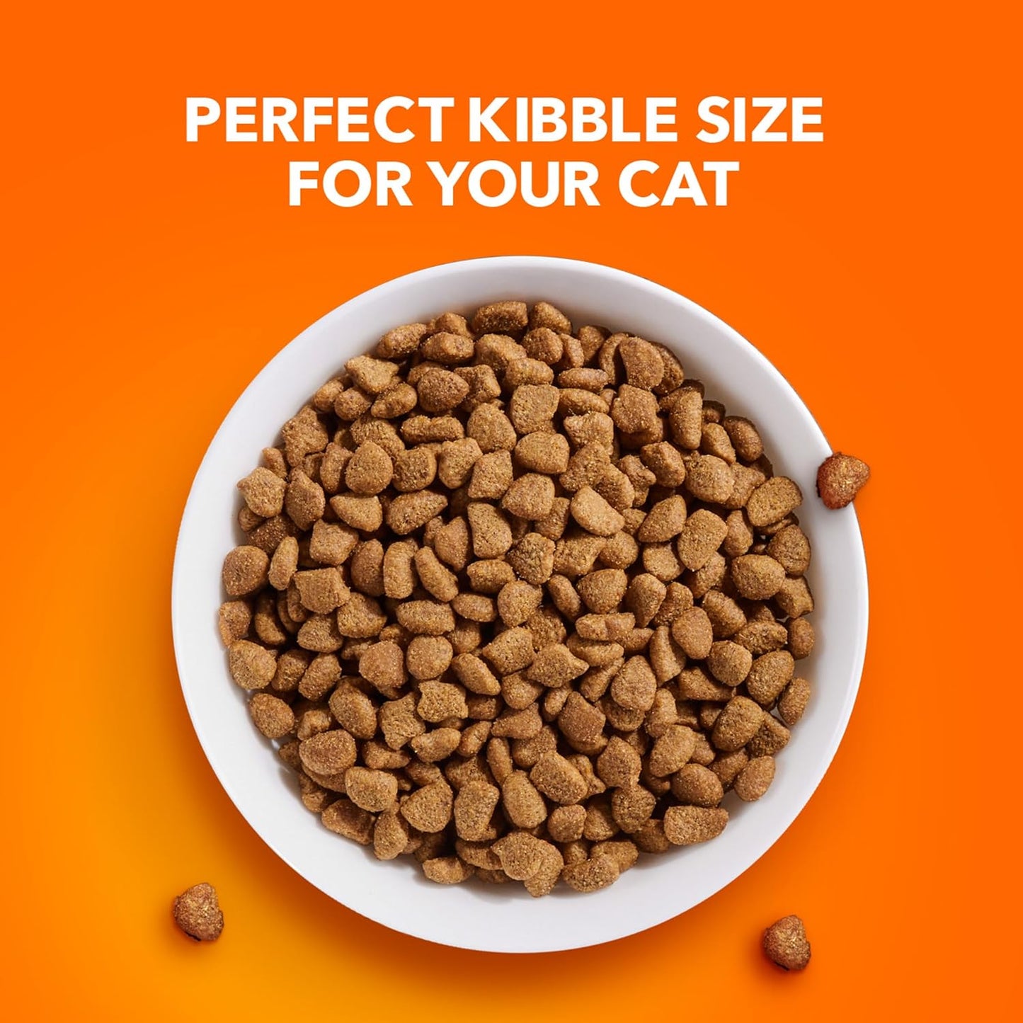 IAMS Proactive Health Adult Sensitive Digestion & Skin Turkey Dry Cat Food - 13 lb
