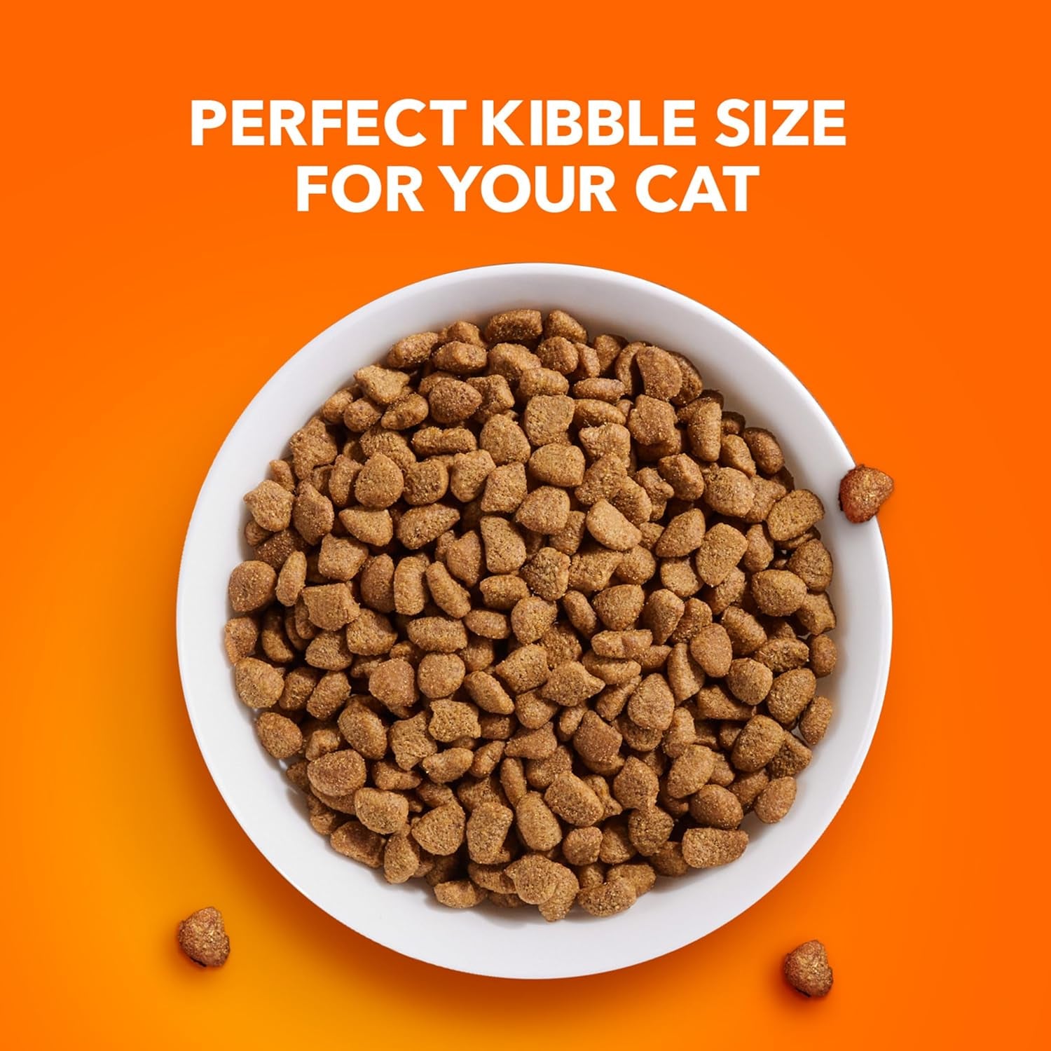 IAMS Proactive Health Adult Sensitive Digestion & Skin Turkey Dry Cat Food - 13 lb